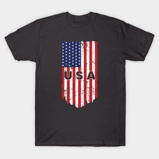 United States Flag Vertical with the USA Text in the middle T-Shirt